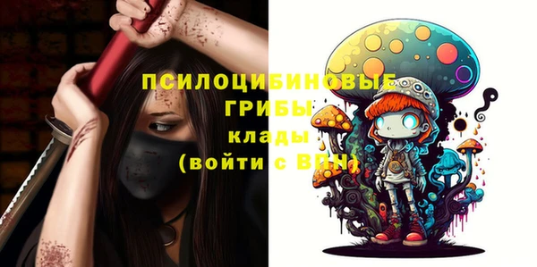 МДПВ Беломорск