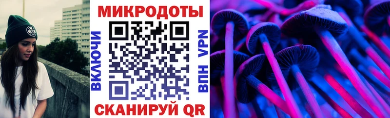 Псилоцибиновые грибы мицелий  Онега 